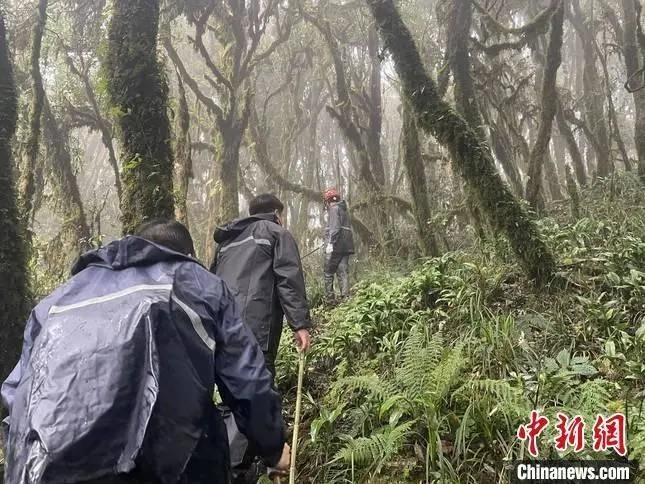 圖為救援現(xiàn)場。鎮(zhèn)沅縣委宣傳部提供