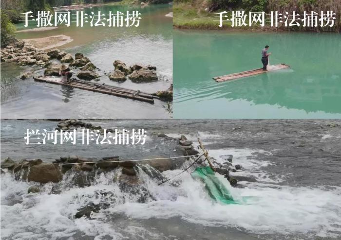 2021年9—10月，前期暗查發(fā)現(xiàn)，保護區(qū)核心區(qū)內(nèi)非法捕撈行為十分猖獗