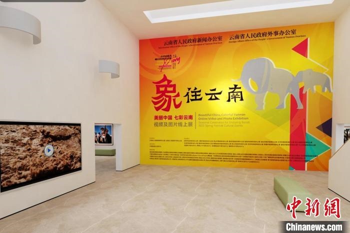 圖為“象”往云南——美麗中國 七彩云南視頻及圖片線上展截圖。　胡遠航 攝