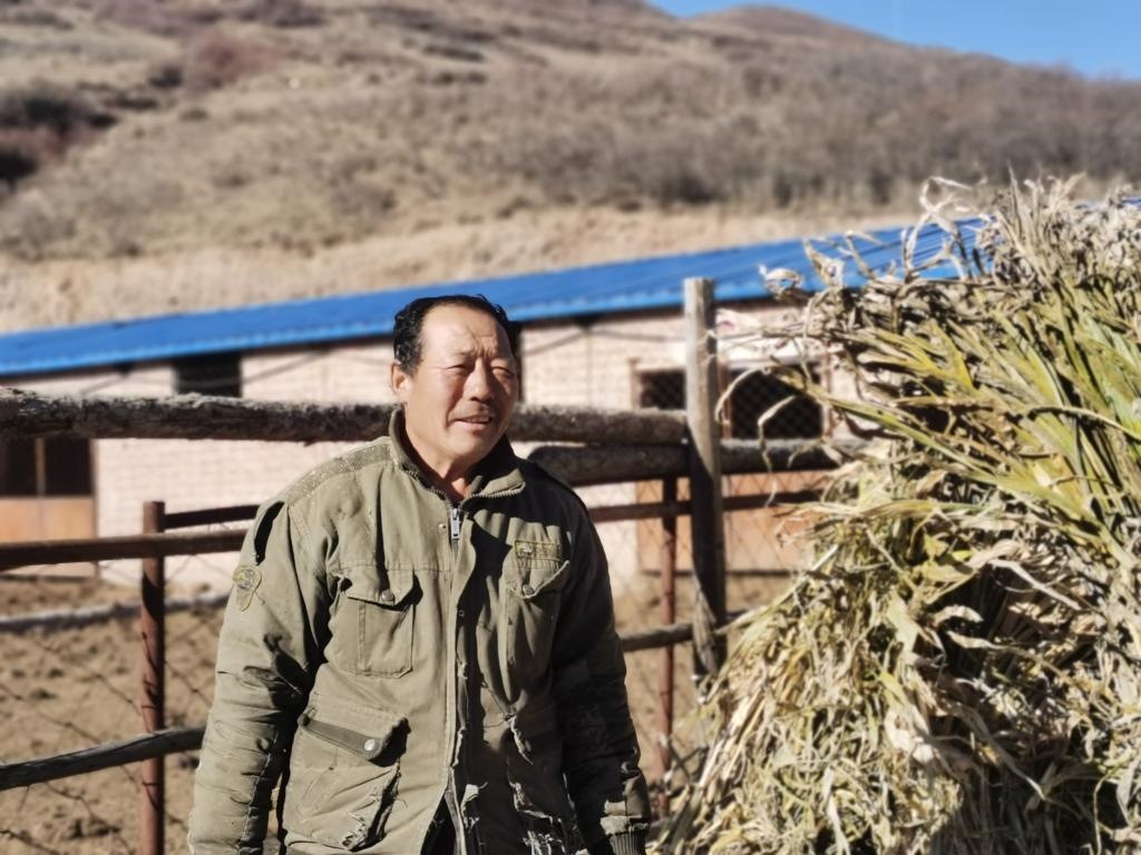 1月19日，山西省岢嵐縣脫貧戶(hù)呂如堂在牛圈前準(zhǔn)備草料。新華社記者 梁曉飛 攝