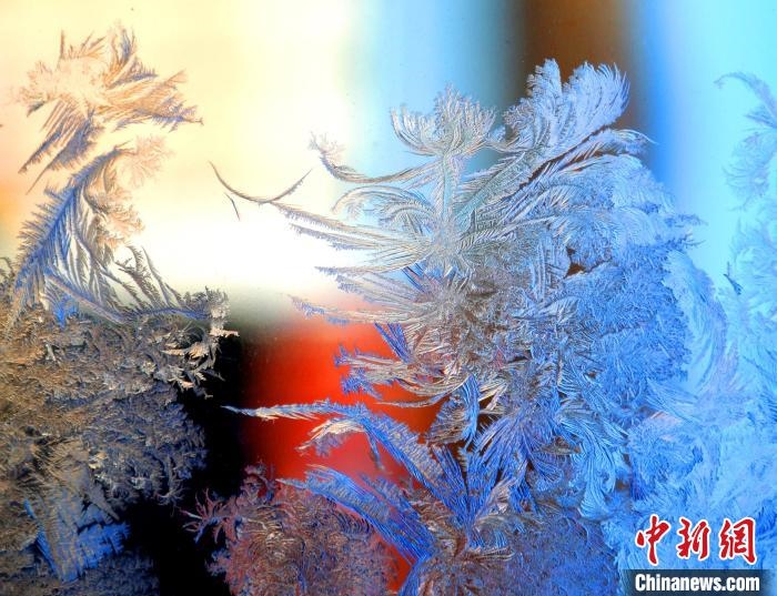 冰窗花千姿百態(tài)。　孫書程 攝