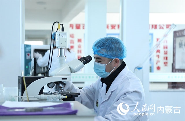 內(nèi)蒙古中農(nóng)興安種?？萍加邢薰韭鋺艨朴抑衅?，為肉牛產(chǎn)業(yè)發(fā)展提供了優(yōu)質(zhì)的種源保障。白俊華攝
