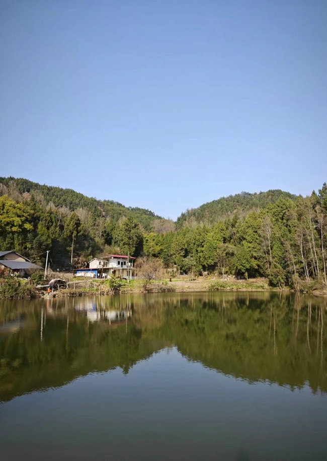 這樣在對面看，老家也算依山傍水.jpg