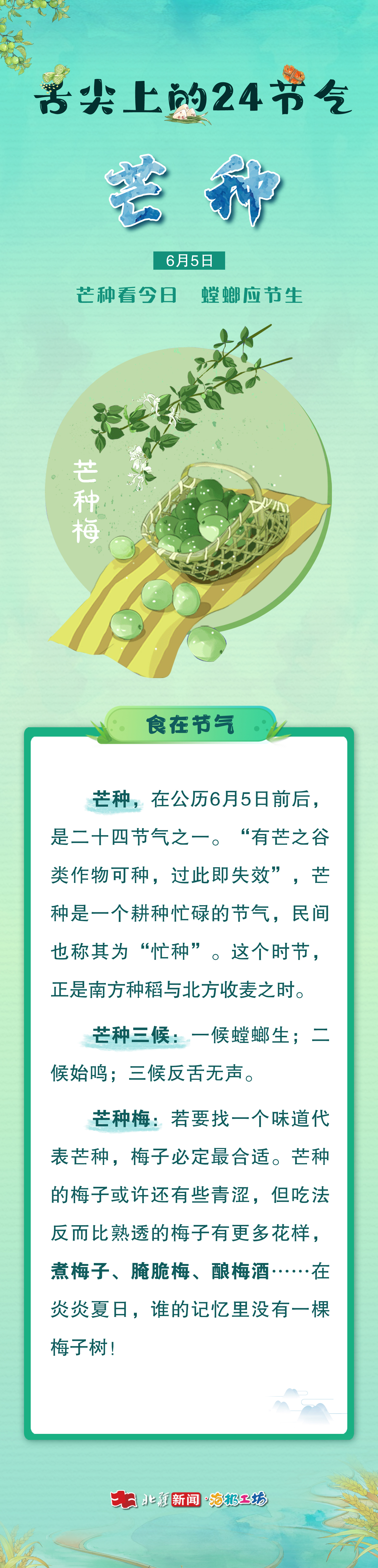 芒種111.jpg