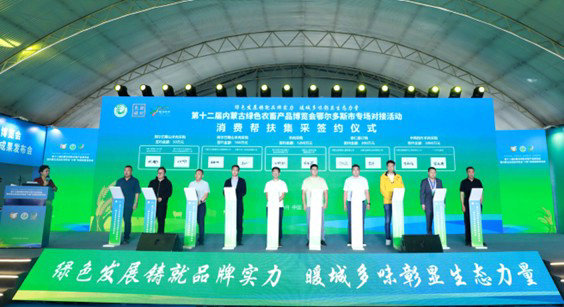 綠4.jpg
