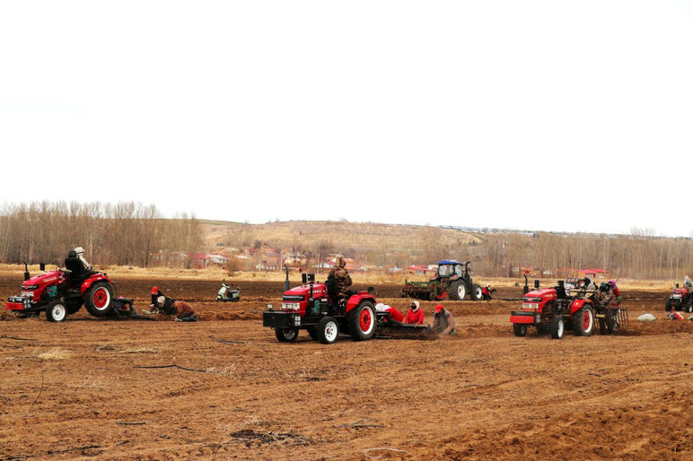 藥材1.jpg