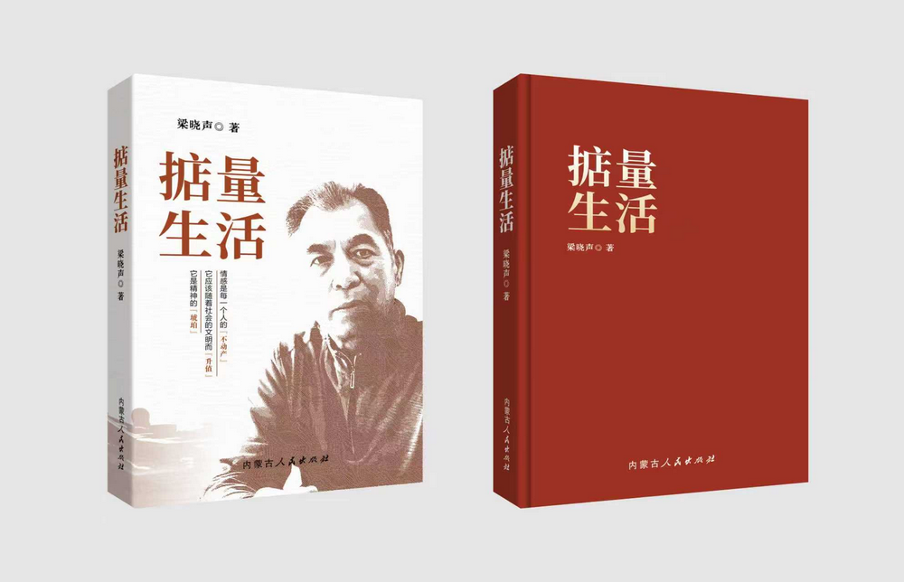 《掂量生活》書(shū)影.png