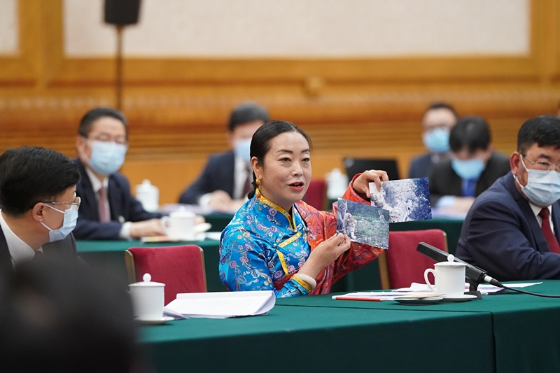 2021年3月7日，習近平總書記在參加十三屆全國人大四次會議青海代表團審議時，全國人大代表孔慶菊在會上展示了兩張照片，上面分別是祁連山地區(qū)多年不見蹤跡的雪豹和荒漠貓。