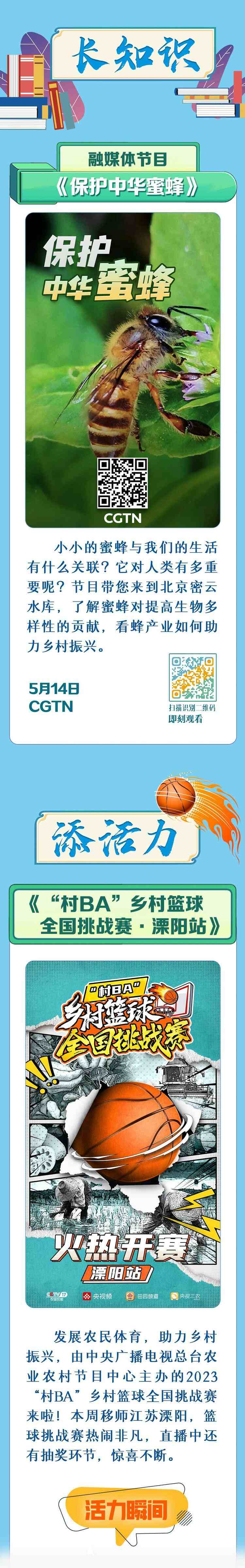 總臺周看點，來了！