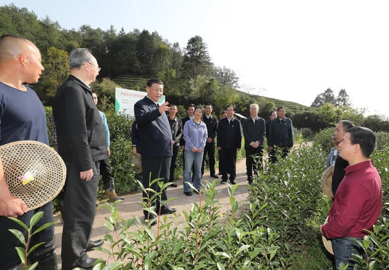 2021年3月22日，習近平總書記在福建南平武夷山市星村鎮(zhèn)燕子窠生態(tài)茶園，同科技特派員、茶農(nóng)親切交流，了解當?shù)夭璁a(chǎn)業(yè)發(fā)展情況。