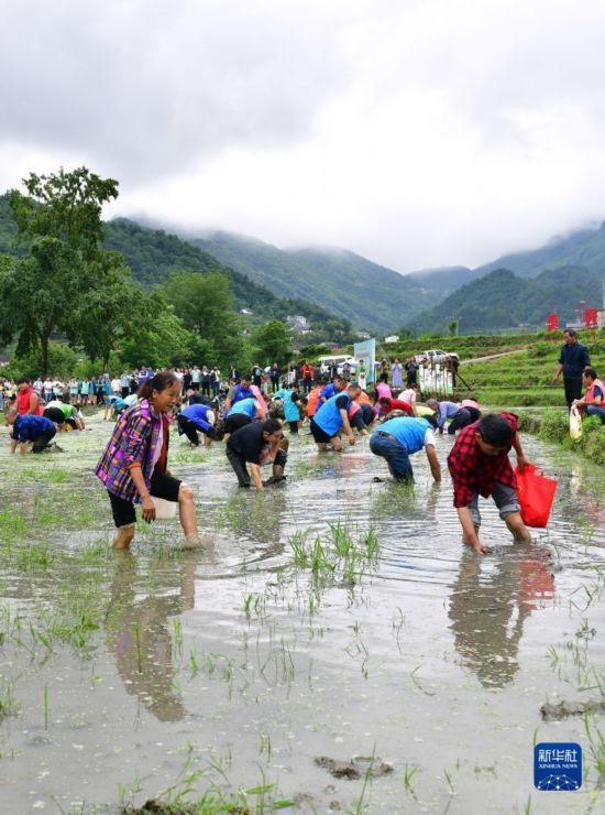 5月27日，秭歸縣九畹溪鎮(zhèn)農(nóng)民參加摸魚(yú)比賽。