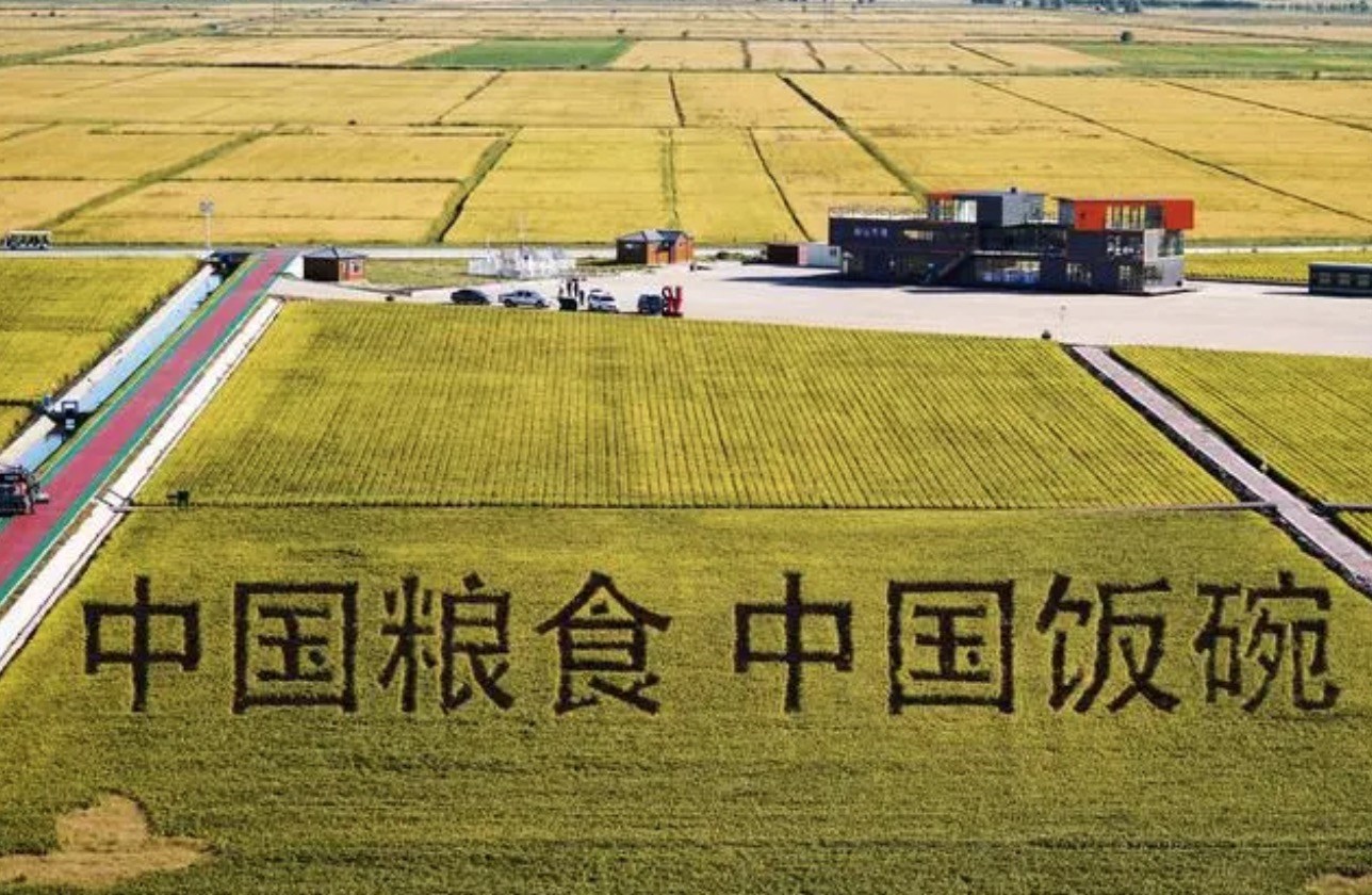 2022年9月2日，黑龍江省富錦市萬(wàn)畝水稻科技示范園內(nèi)的稻田畫(huà)。