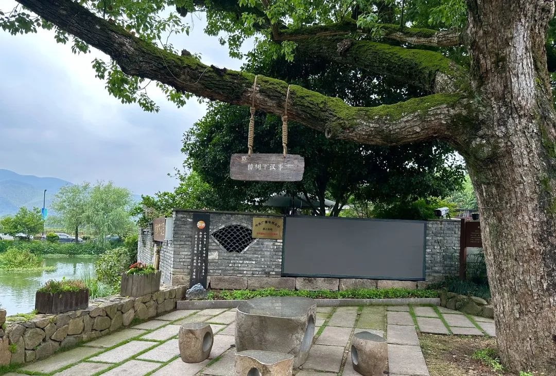 浙江省杭州市余杭區(qū)小古城村的“樟樹下議事”木制字牌。靜玄 攝