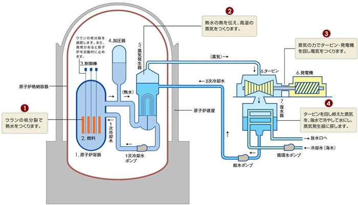 核電站運(yùn)作原理圖。通常的核電站排水未直接接觸核燃料。（圖片來源：日本北海道電力株式會社網(wǎng)站）