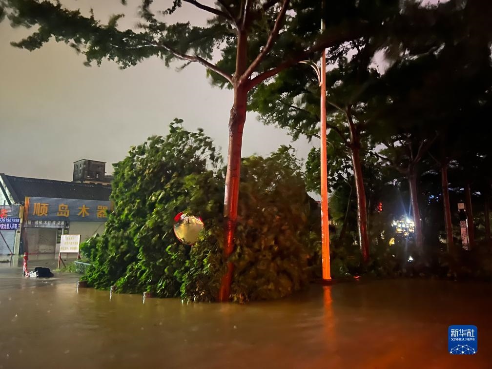 7月17日晚，在廣東湛江海濱大道北，路邊的樹木被風(fēng)刮倒（手機(jī)照片）。新華社記者 鄧華 攝