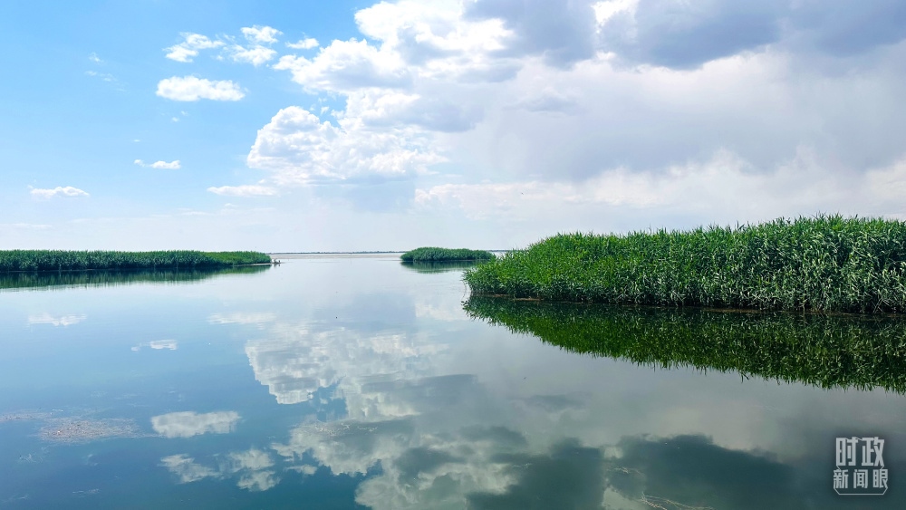 內(nèi)蒙古烏梁素海，是黃河流域最大的湖泊濕地。（總臺(tái)央視記者范一鳴拍攝）