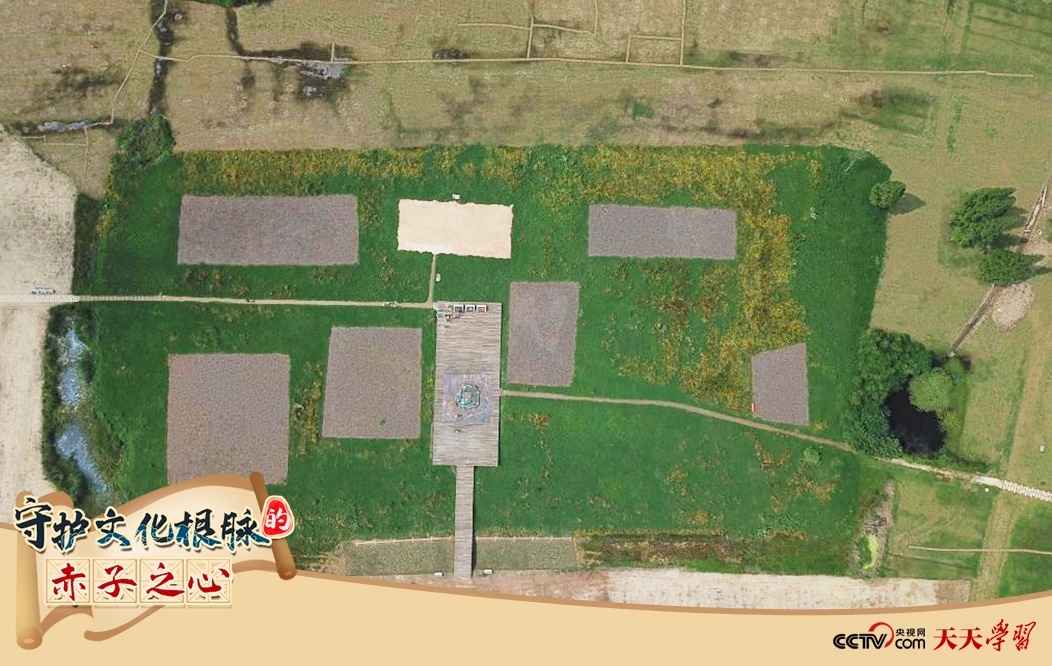2019年6月23日無人機拍攝的良渚國家考古遺址公園的宮殿區(qū)。