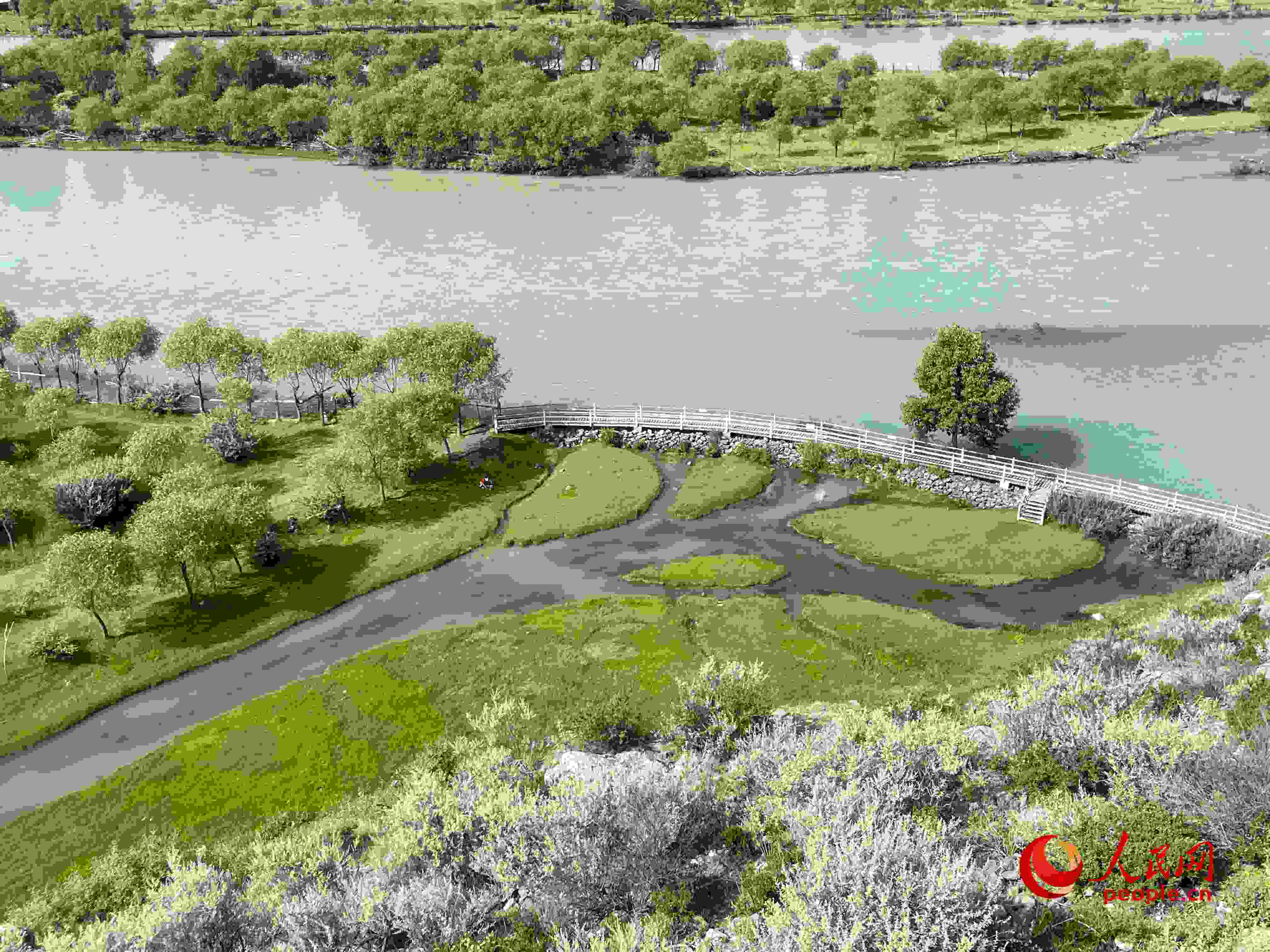 夏日的雅尼國家濕地公園生機盎然，如詩如畫。人民網(wǎng) 周靜圓攝