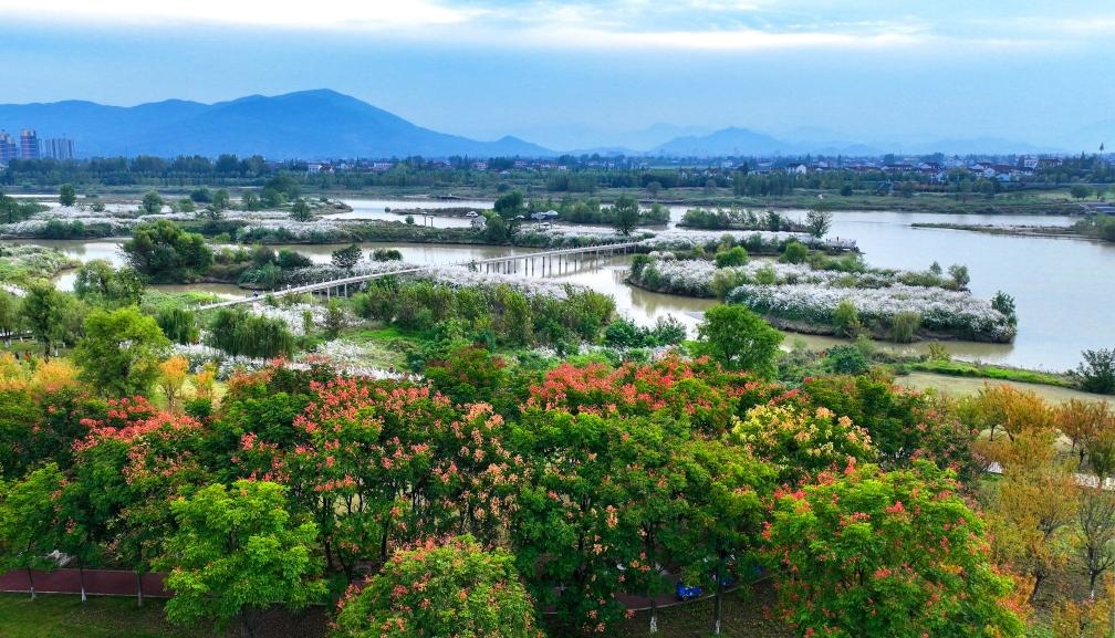 2022年10月11日拍攝的天漢濕地公園景色。新華社發(fā)（宋曉麗 攝）