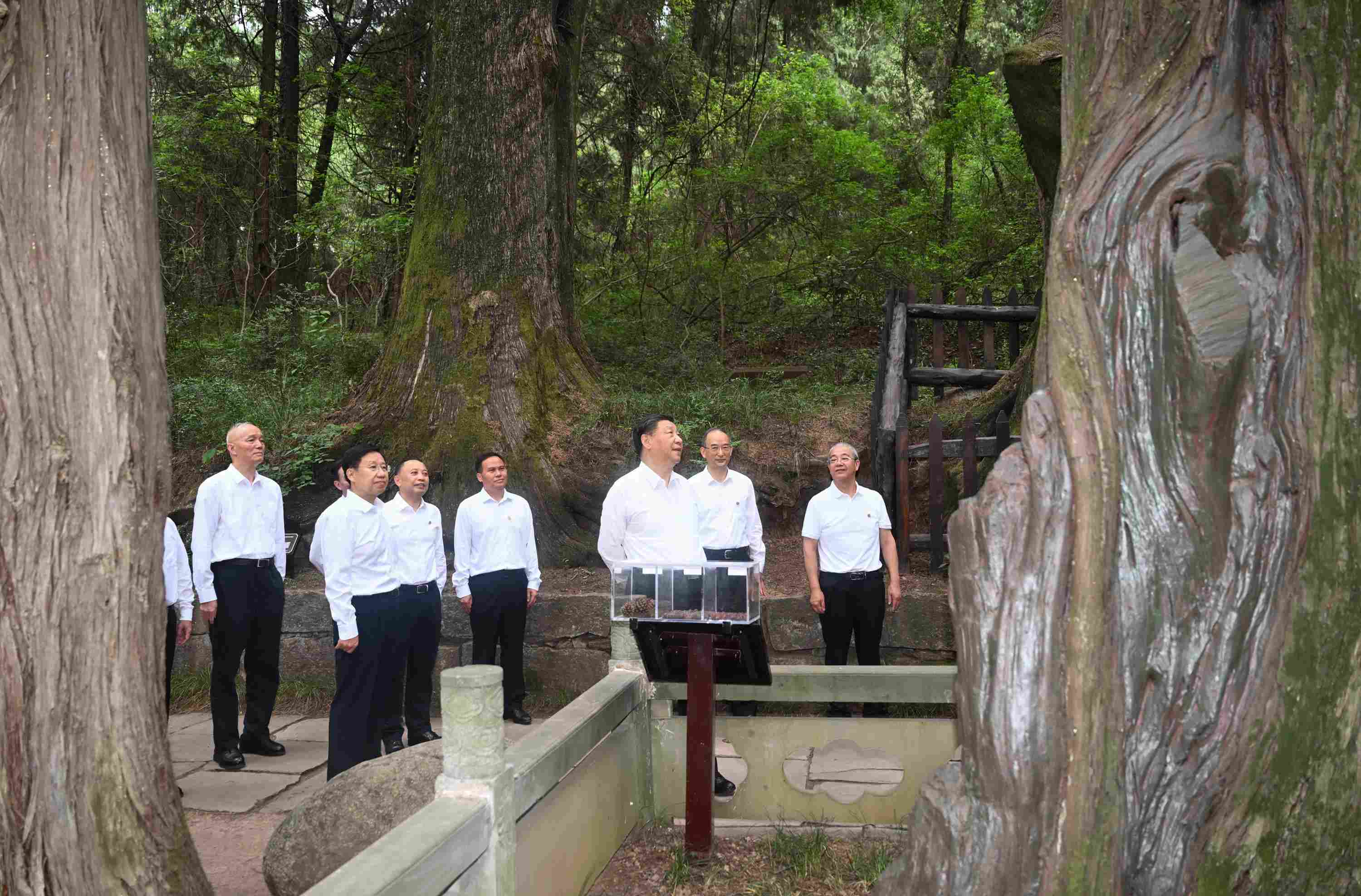 △2023年7月25日，習(xí)近平總書(shū)記在四川省廣元市考察了翠云廊古蜀道，了解當(dāng)?shù)赝七M(jìn)歷史文化傳承、加強(qiáng)生態(tài)文明建設(shè)等情況。