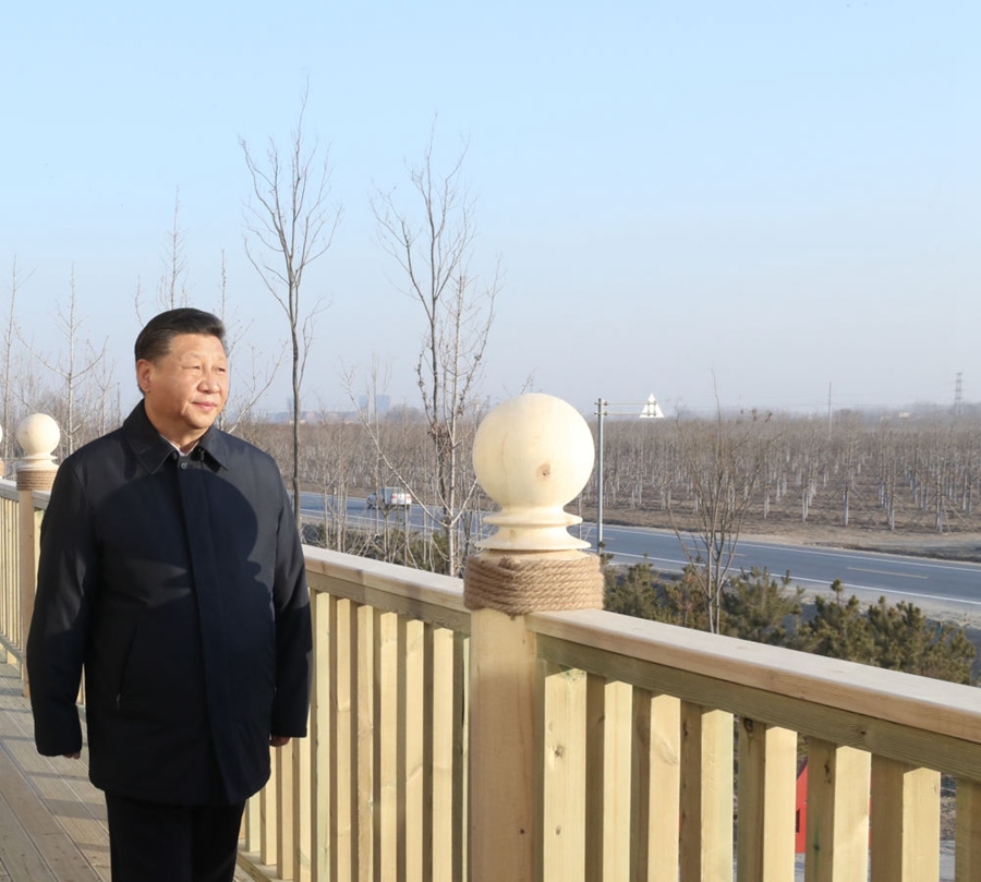 2019年1月16日，習(xí)近平在河北雄安新區(qū)考察調(diào)研。在“千年秀林”大清河片林一區(qū)造林區(qū)域，習(xí)近平登上秀林驛站二層平臺(tái)遠(yuǎn)眺林區(qū)全貌。
