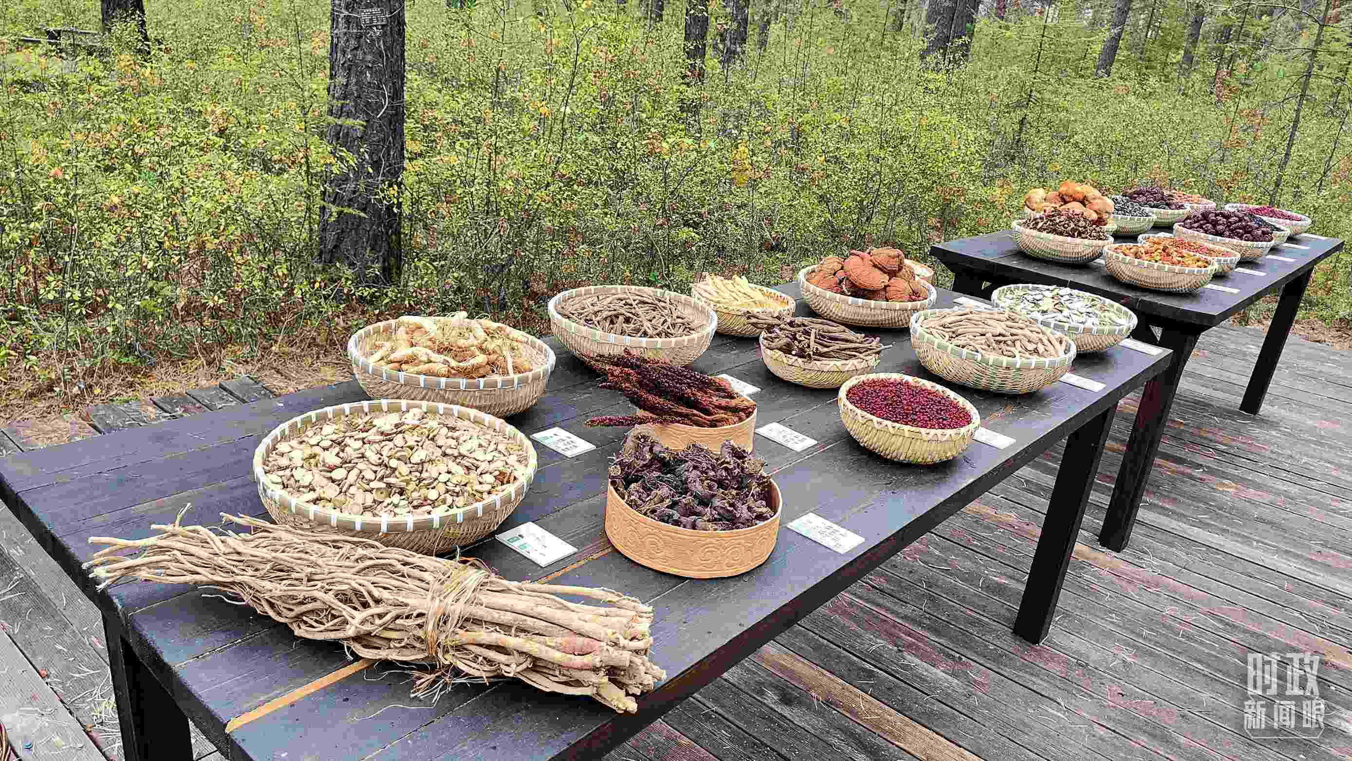 △林場里的食用菌、林果等特產(chǎn)。（總臺央視記者楊立峰拍攝）