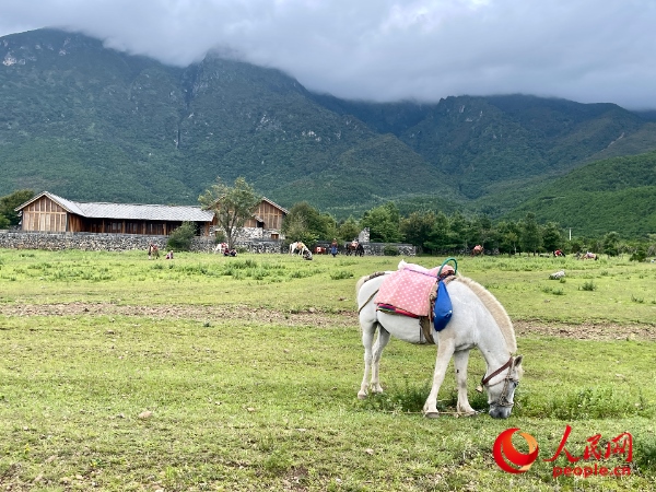 玉湖村附近草甸。人民網(wǎng) 周靜圓攝