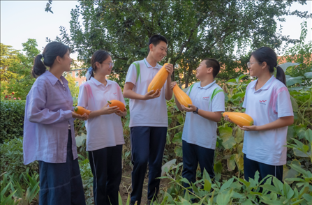 密云區(qū)第五中學(xué)豐收節(jié)活動(dòng)。北京市教委供圖