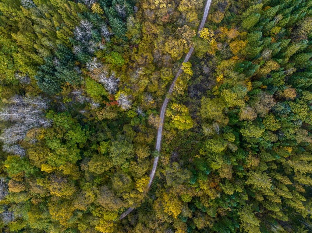 綠意盎然的長白山地區(qū)。王哲攝