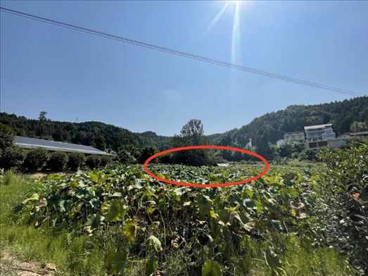 曾經(jīng)的圣水園所在地。 人民網(wǎng)記者 楊喬攝