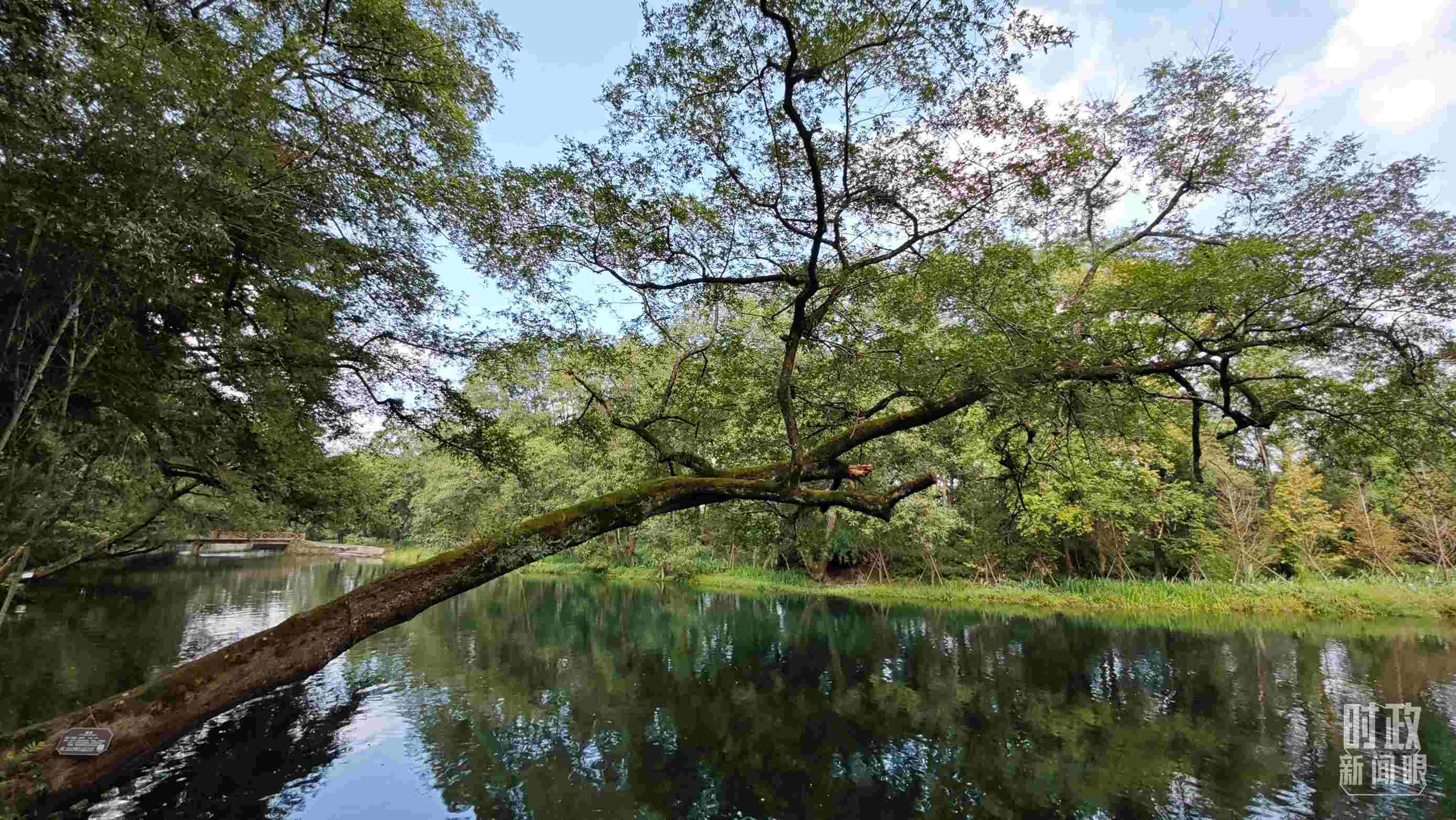 △饒河源國家濕地公園。（總臺央視記者郁振一拍攝）