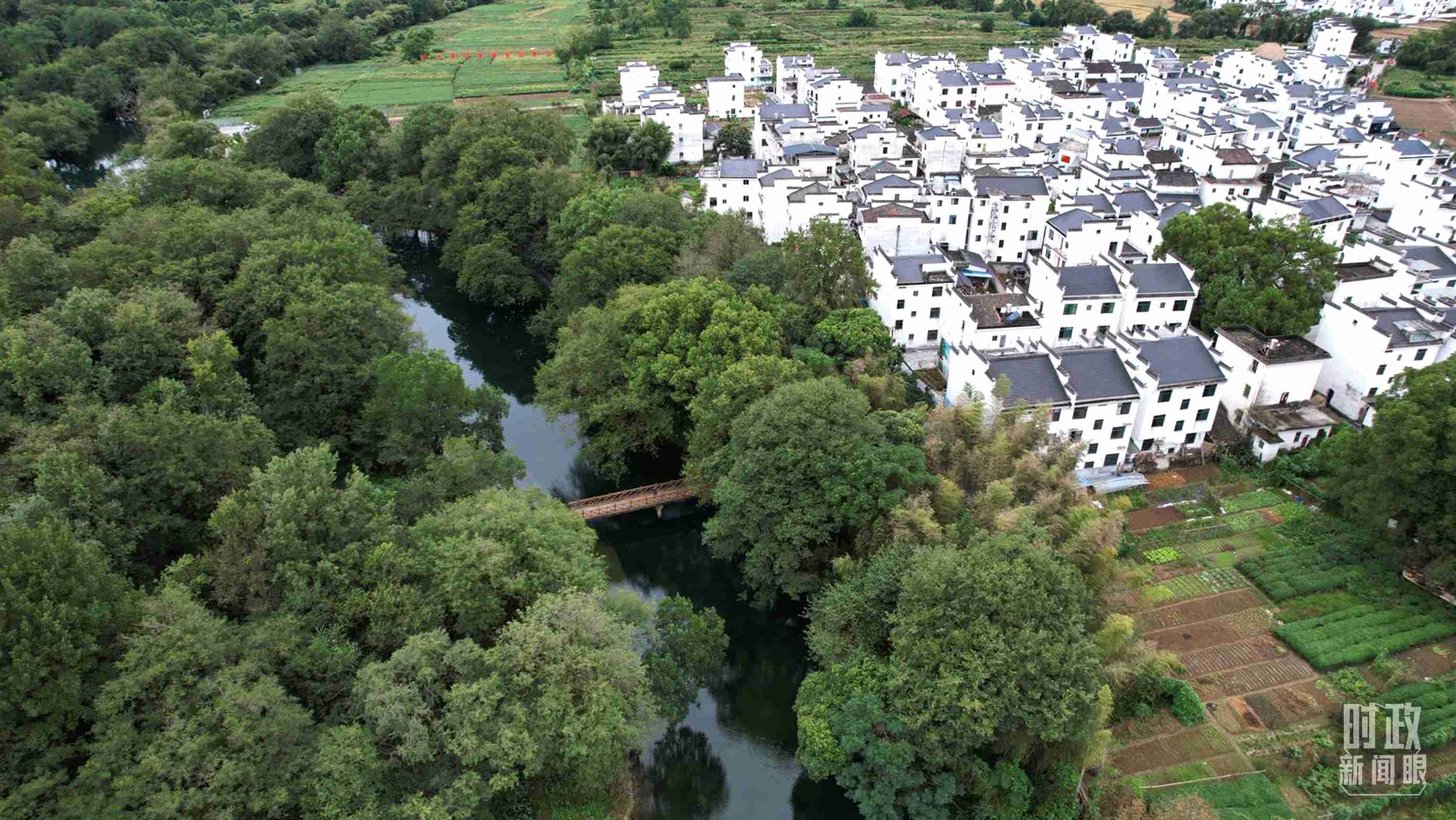 △位于饒河源國家濕地公園中心地帶的石門村。（總臺央視記者范凱拍攝）