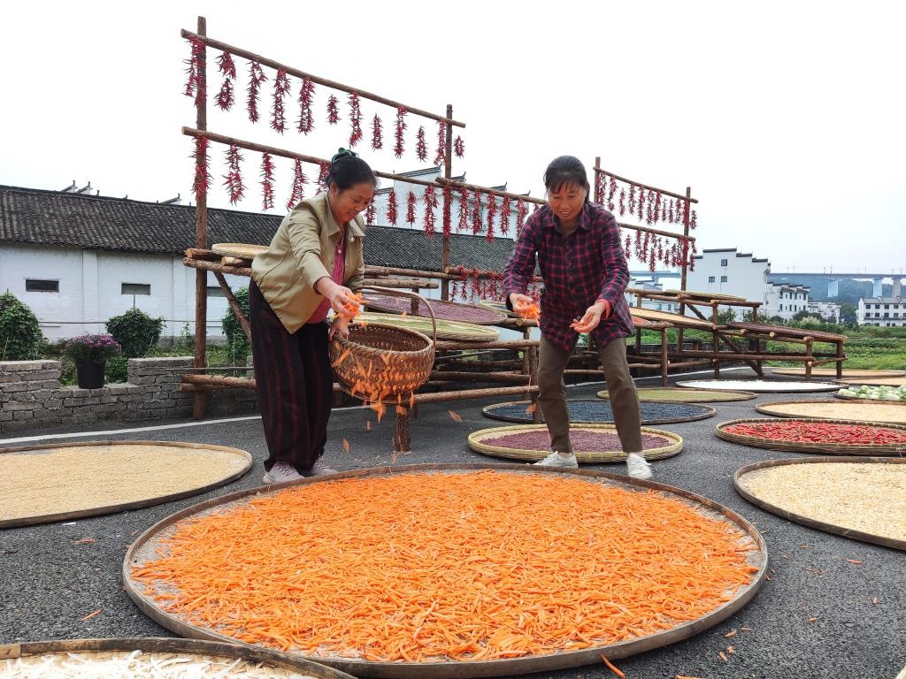 近日，江西省上饒市婺源縣秋口鎮(zhèn)王村的村民正在晾曬農(nóng)作物。新華社記者 劉佳敏 攝