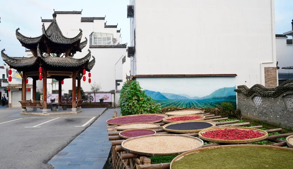 近日拍攝的江西省上饒市婺源縣秋口鎮(zhèn)王村石門(mén)自然村曬秋場(chǎng)景。新華社記者 胡晨歡 攝