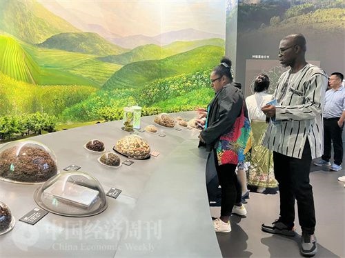  （在中國藥都中醫(yī)藥博物館，外媒記者了解中醫(yī)藥發(fā)展史。中國經(jīng)濟周刊記者 郭志強 攝）