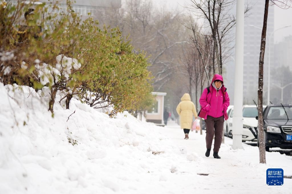 11月16日，市民在雪中前行。當(dāng)日，黑龍江哈爾濱市迎來(lái)雨雪天氣。新華社記者 王建威 攝