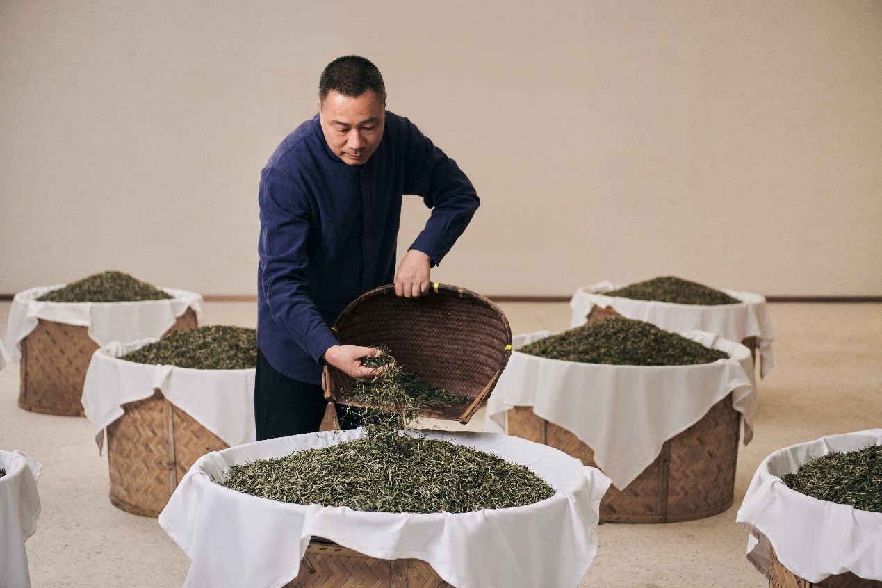 福鼎白茶制作技藝的省級代表性傳承人林振傳在制茶。受訪者供圖