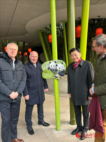 中國駐德國大使吳懇（右二）、柏林市長韋格納（左二）、動物園園長克尼里姆（右一）和監(jiān)事會主席布魯克曼（左一）共同為“夢想”“夢圓”大熊貓紀(jì)念牌揭幕。人民網(wǎng)記者 徐馨攝