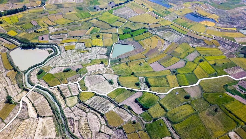 安徽省鳳陽縣小崗村的田野景象（2018年9月27日攝，無人機照片）。新華社記者 張端 攝