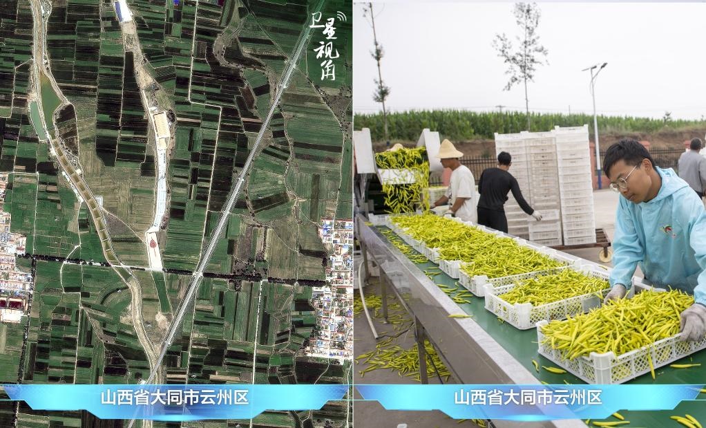 當(dāng)前，大同市開(kāi)發(fā)黃花菜品、食品、飲品、功能食品、化妝品、文創(chuàng)產(chǎn)品六大系列130余種，全產(chǎn)業(yè)鏈產(chǎn)值超40億元。