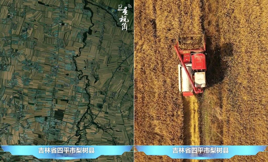 隨著現(xiàn)代化農(nóng)機(jī)普及應(yīng)用，保護(hù)性耕作“梨樹(shù)模式”得以大面積推廣，不僅使黑土地保護(hù)與利用持續(xù)深入，更為糧食作物高產(chǎn)穩(wěn)產(chǎn)助力。