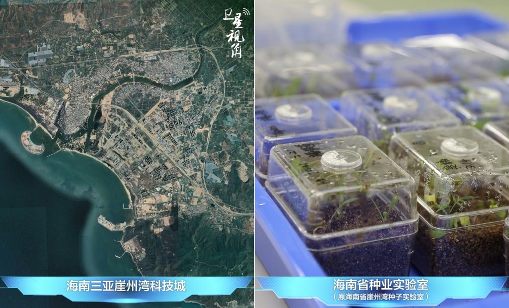 位于三亞崖州灣科技城的海南省種業(yè)實(shí)驗(yàn)室（原海南省崖州灣種子實(shí)驗(yàn)室）將形成輻射全國(guó)和“一帶一路”沿線國(guó)家的種子科學(xué)技術(shù)創(chuàng)新中心。