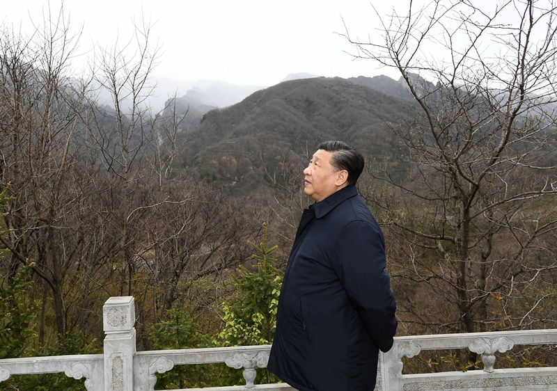 2020年4月20日，習(xí)近平在陜西秦嶺牛背梁國家級(jí)自然保護(hù)區(qū)，了解秦嶺生態(tài)保護(hù)工作情況。