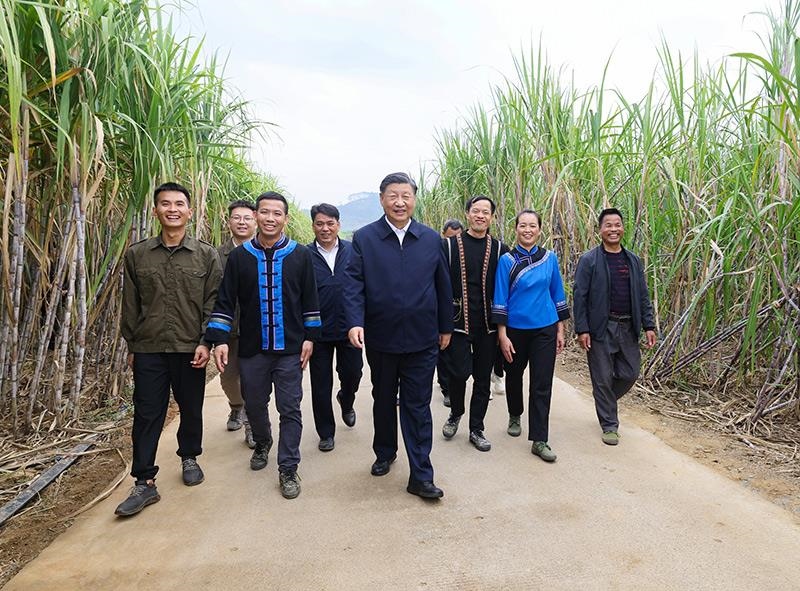 2023年12月14日，習(xí)近平總書記在廣西來賓市國家現(xiàn)代農(nóng)業(yè)產(chǎn)業(yè)園黃安優(yōu)質(zhì)“雙高”糖料蔗基地考察。