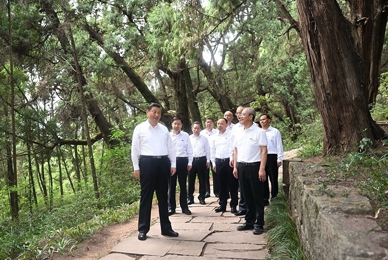 2023年7月25日，習(xí)近平總書記在四川廣元市劍閣縣翠云廊考察。新華社記者 謝環(huán)馳 攝