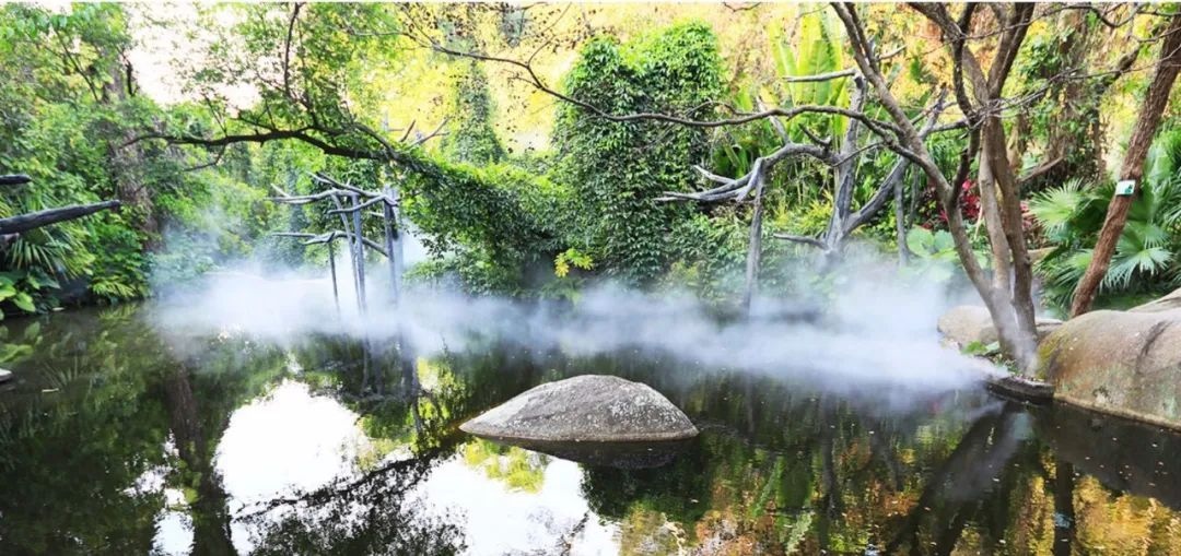 △鼓浪嶼-萬石山風景名勝區(qū)重要組成部分廈門園林植物園熱門景點“雨林世界”。