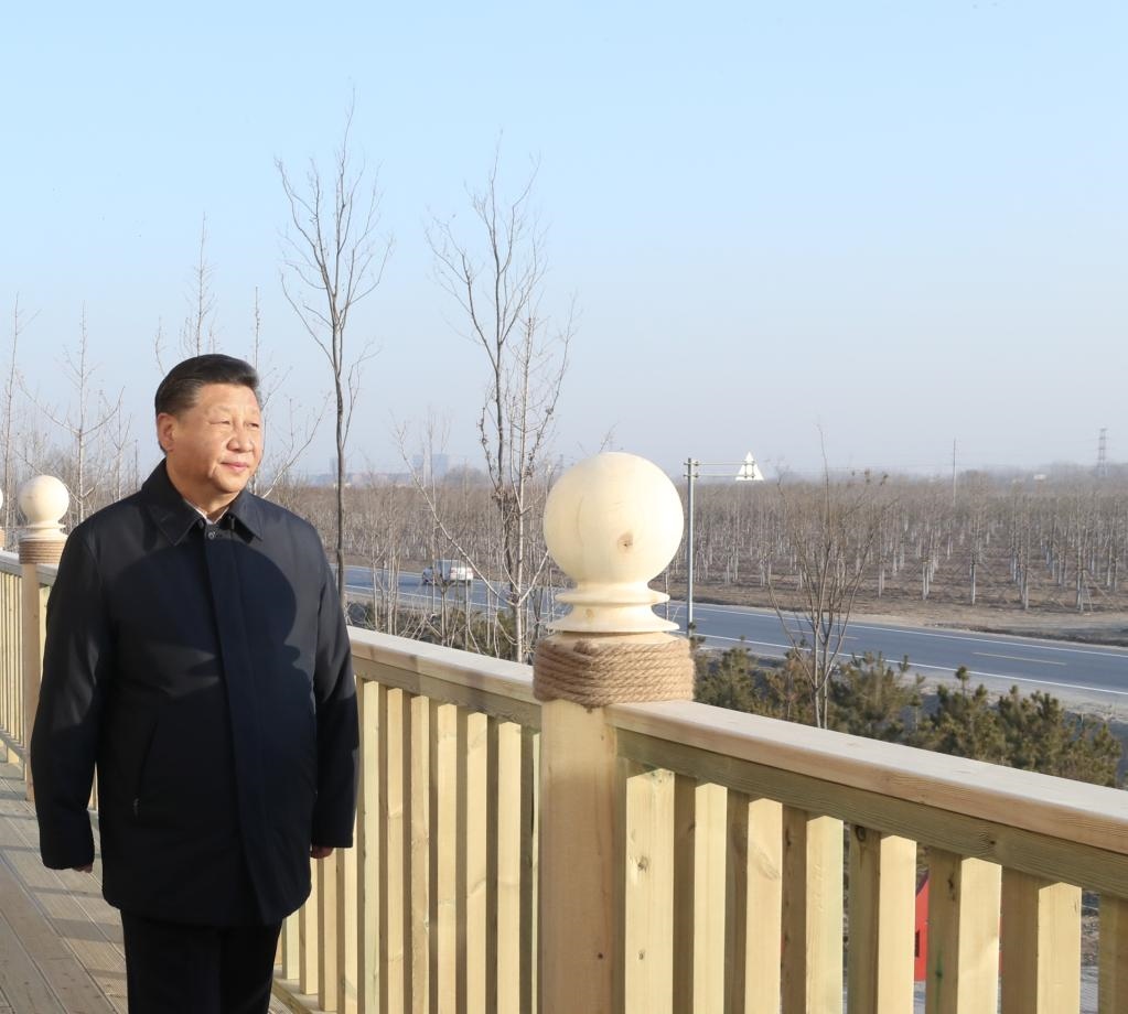 2019年1月16日，在河北雄安新區(qū)“千年秀林”大清河片林一區(qū)造林區(qū)域，習近平總書記登上秀林驛站二層平臺遠眺林區(qū)全貌。新華社記者 鞠鵬 攝