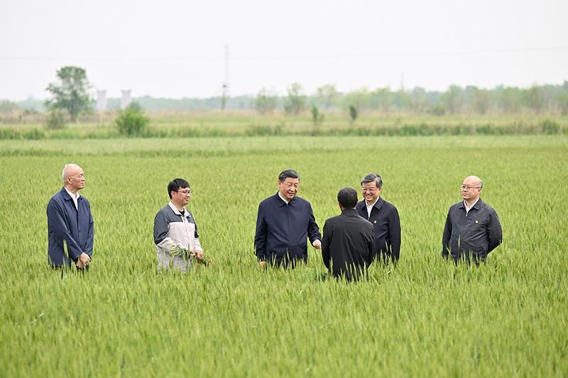 △2023年5月11日，習(xí)近平總書記在河北滄州黃驊市舊城鎮(zhèn)仙莊片區(qū)旱堿地麥田同種植戶、農(nóng)技專家親切交流。