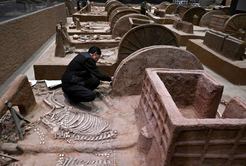 工作人員在殷墟博物館新館的展廳內(nèi)修復(fù)車馬遺跡（2月23日攝）。