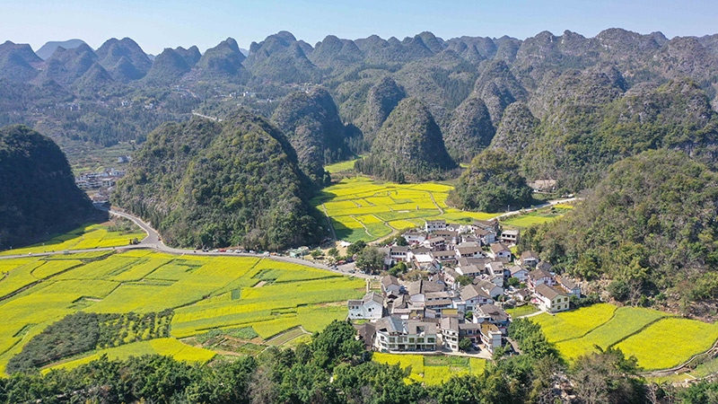 2024年2月17日，貴州省興義市萬(wàn)峰林景區(qū)的油菜花海景色（無人機(jī)照片）。